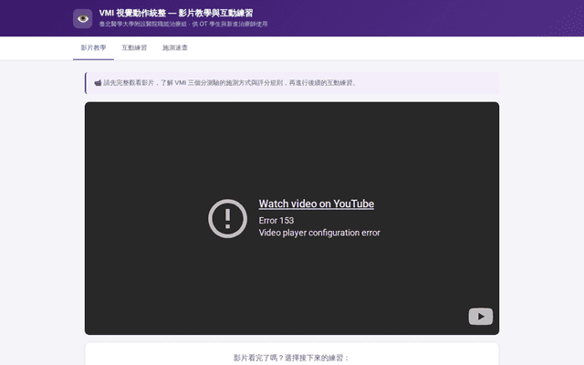職能治療VMI評估
